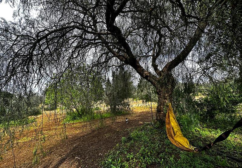 Salento Home Farm Bagnolo del Salento Buitenkant foto